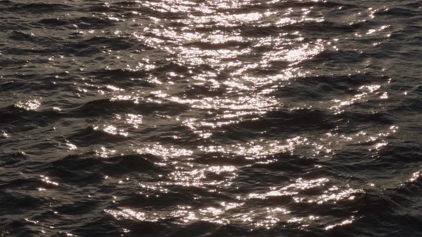 A view of a cityscape featuring a prominent St Isaacs Cathedral dome building, flags lining a bridge, and a cloudy sky