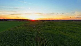 Aerial drone monitors farmland during sunset, showcasing modern agricultural technology - Powered by Shutterstock - Get 15% off with code: PIKWIZARD15