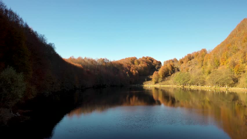 Peaceful Autumn Morning Reflections on a Forest Lake