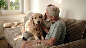 Happy Girl With Grandfather Playing With Golden Retriever's Ears At Home - Powered by Shutterstock - Get 15% off with code: PIKWIZARD15