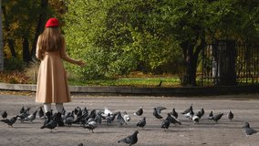 A girl in a beige coat and a red beret feeds pigeons in a city park. See holds out his hand with grains, pigeons fly to his hand, walk side by side on the cobblestones - Powered by Shutterstock - Get 15% off with code: PIKWIZARD15