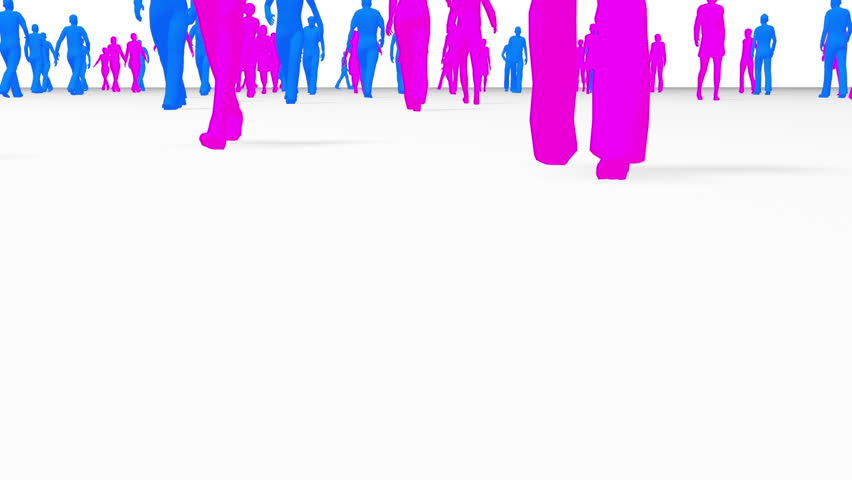 Anonymous crowd log angle mixture of blue (male) and pink (female) character