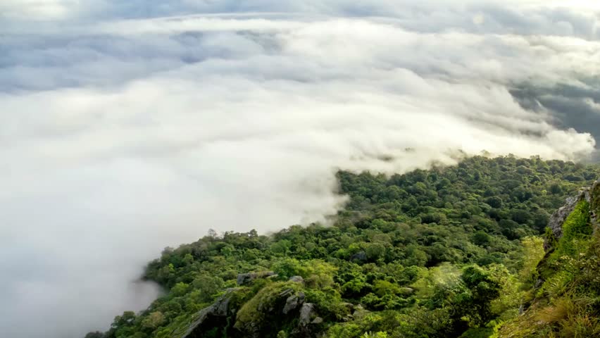 Misty mountain landscape with clouds rolling over lush green forest treetops