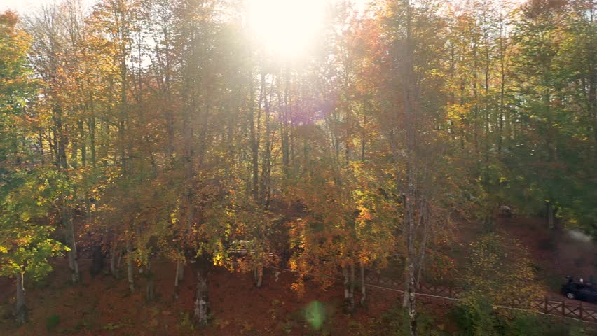 Autumn and lake scenery, Ulugöl Nature Park in Gölköy district of Ordu, with yellow-leaved trees and lake views