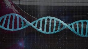 Turquoise DNA helix appearing over grid shifting, layering code, hiding woman in red, aiding lab. Hologram, spiral, cyan, matrix, molecule, laboratory, futuristic - Powered by Shutterstock - Get 15% off with code: PIKWIZARD15