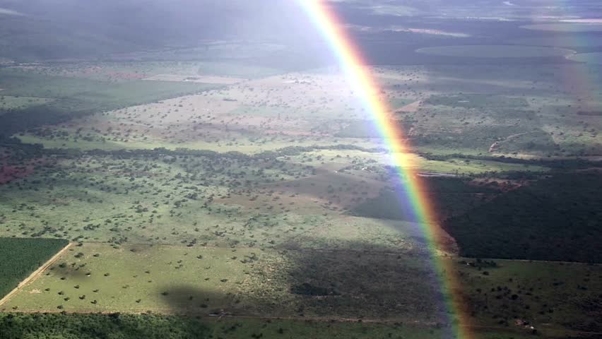 Vibrant rainbow arches across a lush green landscape after a refreshing summer rain