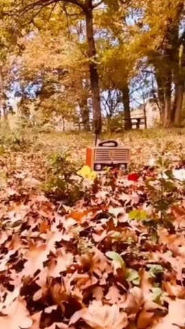 A vintage radio placed among colorful autumn leaves in a peaceful forest. The warm tones of fall foliage create a nostalgic and cozy atmosphere, evoking memories of simpler times.