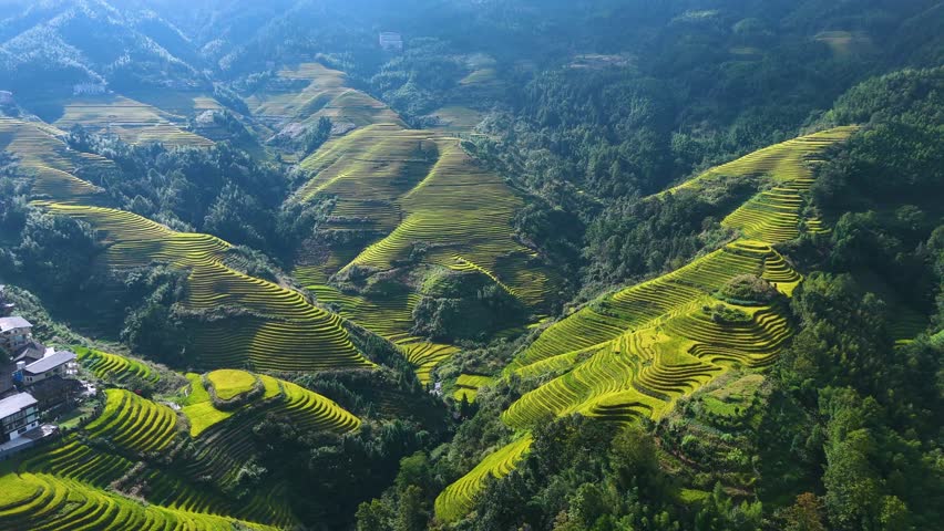 Aerial view of Longsheng Rice Terraces in the Guangxi Region, China