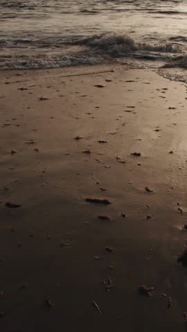 Calm Waves of Change: Motivation and Serenity on the Shore