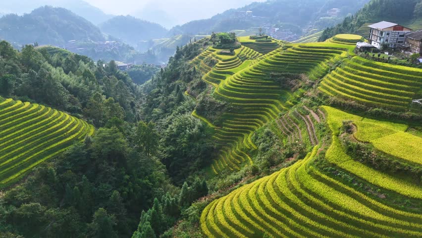 Aerial view of Longsheng Rice Terraces in the Guangxi Region, China
