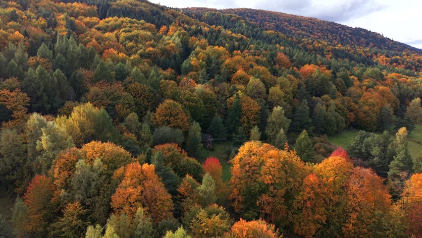 Aerial view of small wooden cabin surrounded by vibrant autumn forest. Peaceful fall mountain landscape with colorful foliage, cozy atmosphere, and scenic natural beauty.