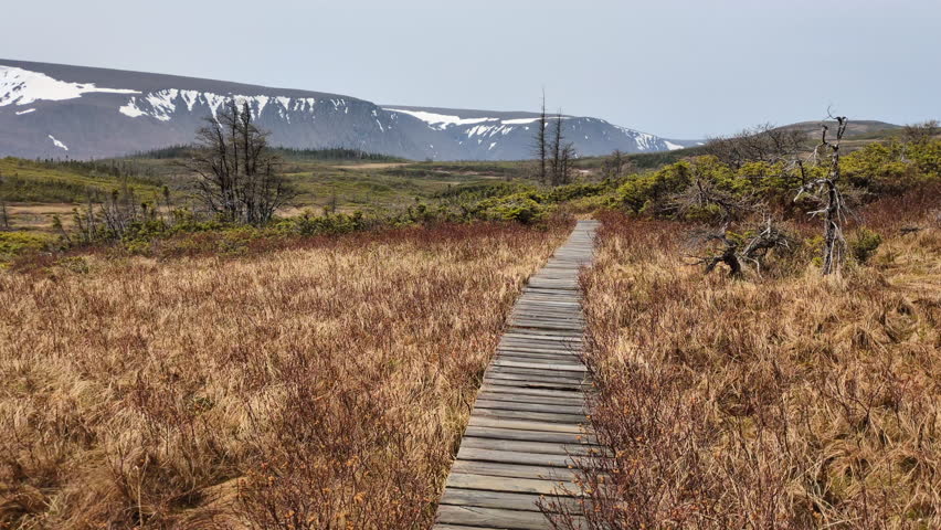 The summit of the Lookout Hills Trail with Tablelands mountains in background in the Gros Morne National Park (Woody Point, Newfoundland, Canada)