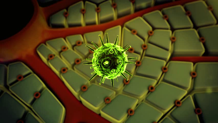 Microscopic view of a virus interacting with cells in a tissue - Powered by Shutterstock - Get 15% off with code: PIKWIZARD15