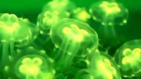 A captivating view of glowing green jellyfish, showcasing the beauty and mystery of bioluminescence in the deep sea. A stunning display of nature's wonders. - Powered by Shutterstock - Get 15% off with code: PIKWIZARD15