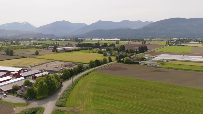Scenic Drone View of Lush Green Farmlands with Red Barns and Majestic Mountains in British Columbia, Canada