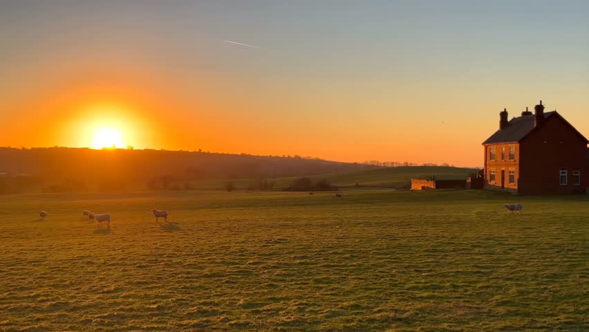 Aerial view of golden sunset shining over rural landscape and farmhouse surrounded by nature.