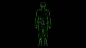 Set of 4 seamless looping animations of a glowing human silhouette with animated flowing binary code, symbolizing AI, data, cybersecurity, and digital human connection, alpha channel background - Powered by Shutterstock - Get 15% off with code: PIKWIZARD15