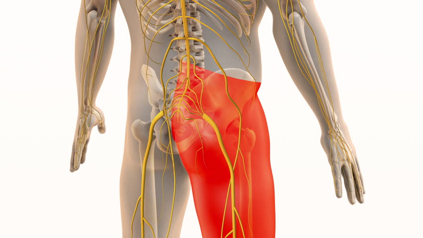 Painful Sciatic Nerve Sensation in Lower Body