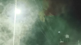 Atmospheric scene of a glowing streetlight shining through thick fog at night, creating a cinematic and moody ambiance. Perfect for film backgrounds, horror scenes, or night city visuals. - Powered by Shutterstock - Get 15% off with code: PIKWIZARD15