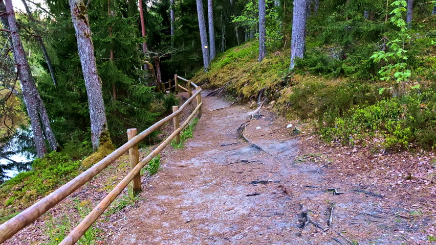 Forest hiking trail with wooden railing winding through pine woods in Sietiņiezis