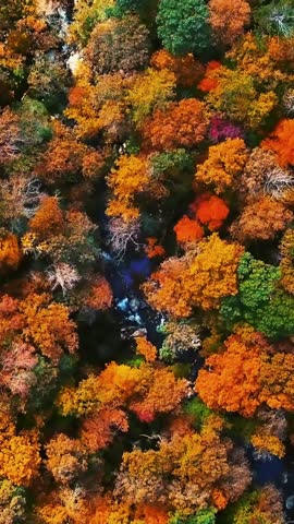 Pastel Rainbow: Minimalist and Calming Abstract Motivation Reel