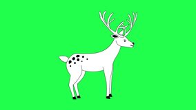 Animated video of a deer in black and white cartoon style on a green background, art, animal. - Powered by Shutterstock - Get 15% off with code: PIKWIZARD15