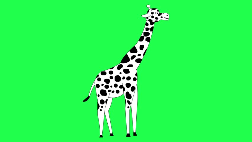 Animated video of a giraffe in black and white cartoon style on a green background, art, animal.