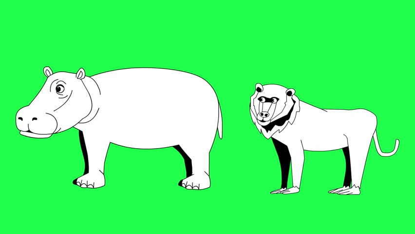 Animated video of a hippopotamus and a monkey in black and white cartoon style on a green background, art, animal.