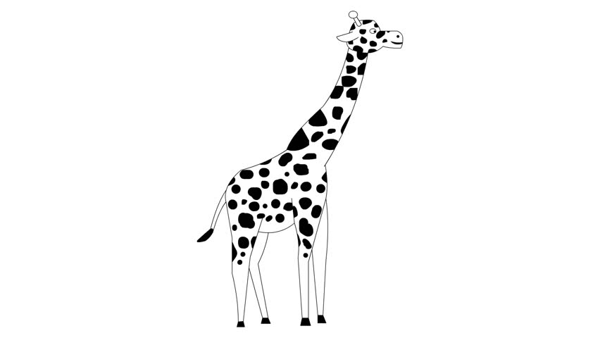 Animated video of a giraffe in black and white cartoon style, art, animal.