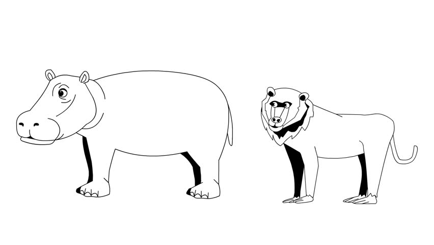 Animated video of a hippopotamus and a monkey in black and white cartoon style, art, animal.