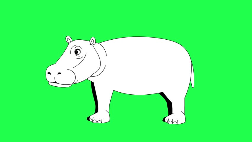 Animated video of a hippopotamus in black and white cartoon style on a green background, art, animal.
