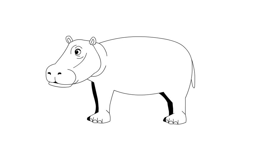 Animated video of a hippopotamus in black and white cartoon style, art, animal.