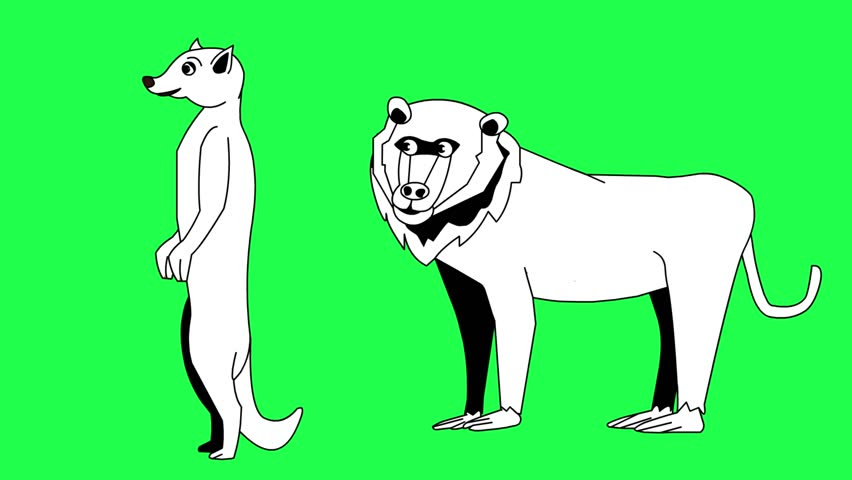 Animated video of a meerkat and a monkey in black and white cartoon style on a green background, art, animal.
