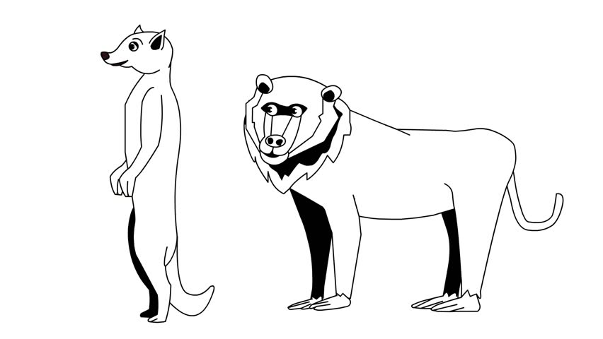 Animated video of a meerkat and a monkey in black and white cartoon style, art, animal.