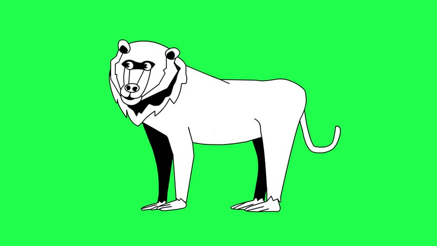 Animated video of a monkey in black and white cartoon style on a green background, art, animal.