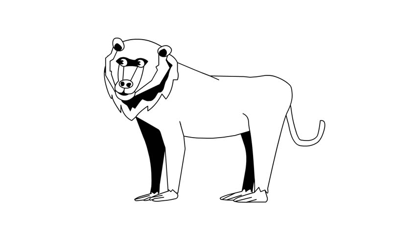 Animated video of a monkey in black and white cartoon style, art, animal.