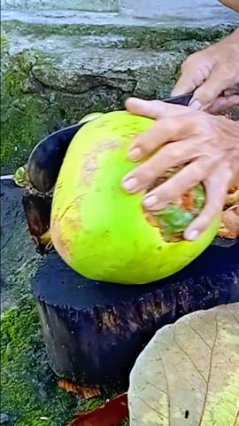 Close-up of hands cutting a young coconut with a machete, showing traditional skill and tropical lifestyle in natural daylight.