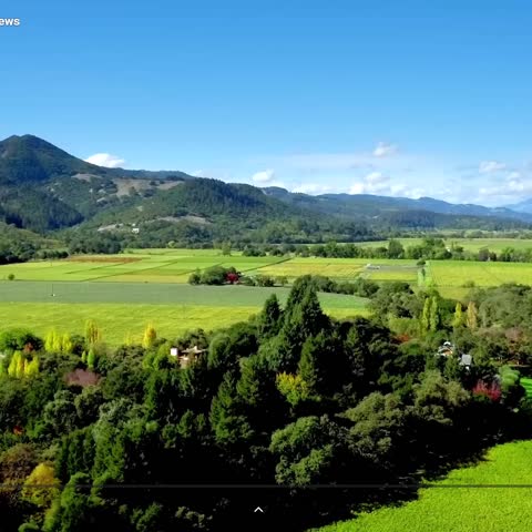Valley Landscape
This is a vibrant, wide-angle view of a lush green valley surrounded by rolling hills and mountains under a bright blu