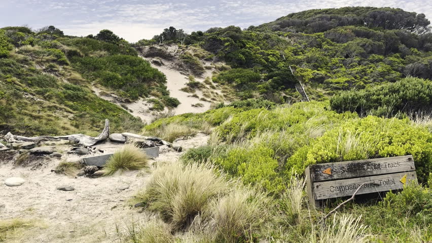sandy beach along the coastline of the Tasman sea near cockle creek the southernmost point of Tasmania, Australia, a popular travel destination for hiking and camping.