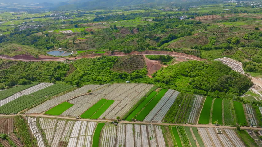 Rural Farmland and Fields 4K Scenic View Aerial