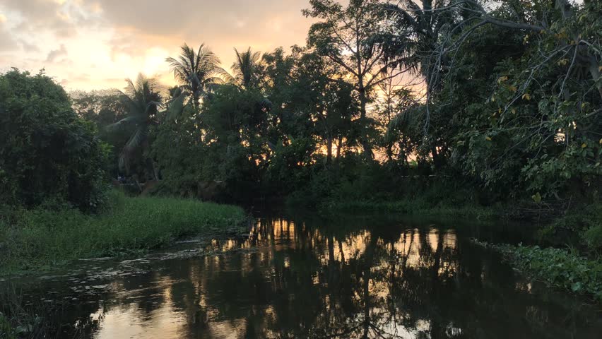 Golden sunset light reflects on water.