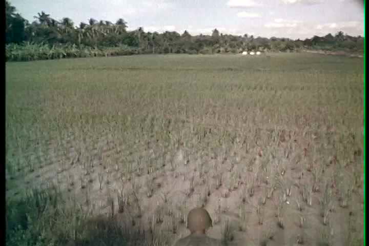 1960s - A montage of the kinds of people helping the South Vietnamese in the Vietnam War, with good footage of patrols in the rice paddy.