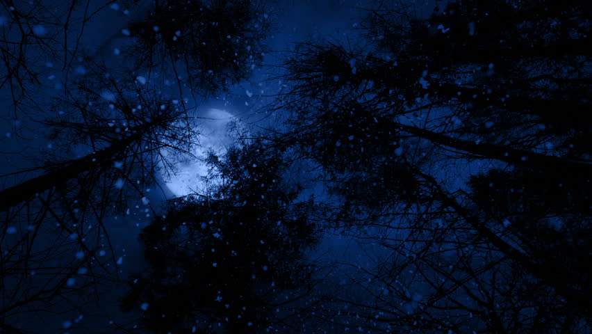 Snowing Into Camera Looking Up In Forest With Moon Above