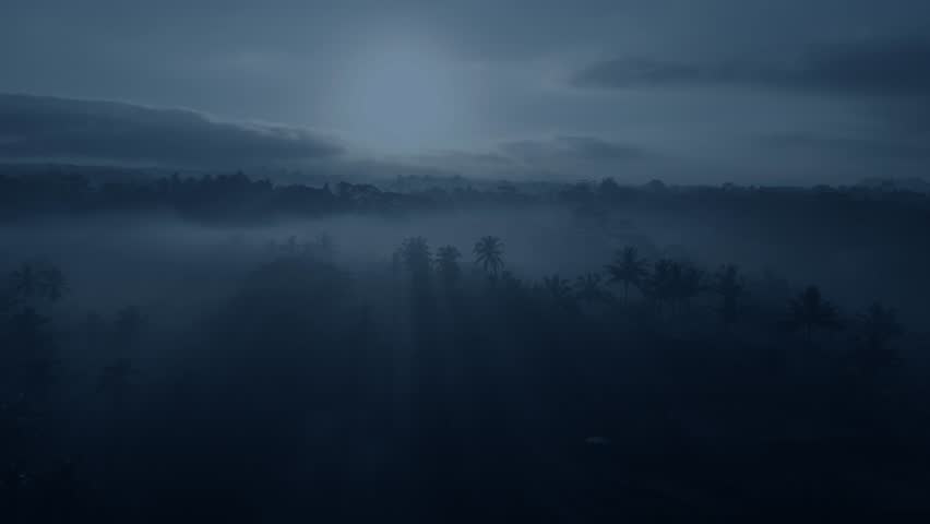 Top shot of jungles in Sri Lanka at night. Camera is moving backward
