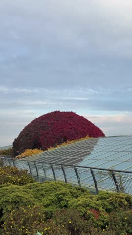 Warsaw university library garden in autumn. Famous rooftop in Poland panoramic view. Fall botanical design, multicolored leaves.