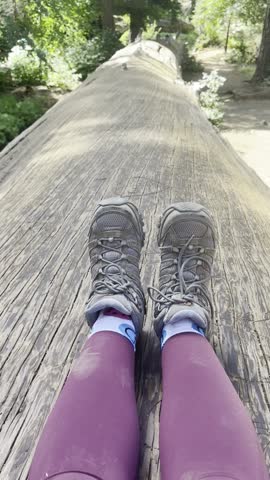 California, USA, 09.23.2024: landscapes and hiking trails of Sequoia National Park, featuring forested pathways, mountain views, rocky terrain, and the peaceful natural beauty that defin