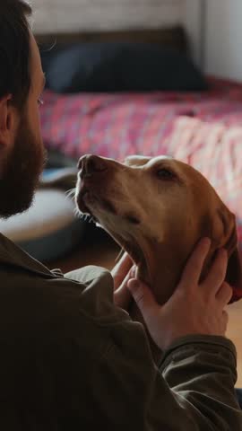 Over shoulder shot of a man gently petting his dog and looking into its eyes. Soft morning light, trust and affection, peaceful indoor scene, vertical video. High quality 4k footage