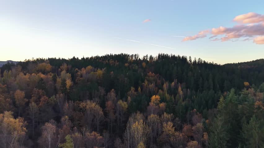 autumn forest panorama, sunlit treetops during fall showcasing layered greenery and peaceful