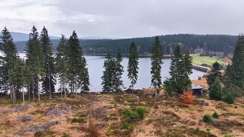 tall pines by quiet water, tranquil lakeside landscape featuring distant wooded hills and overcast
