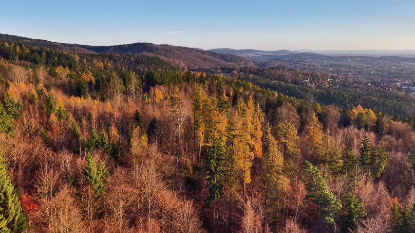 autumn treetops under bright sky, spectacular aerial view of fall landscape with colorful trees